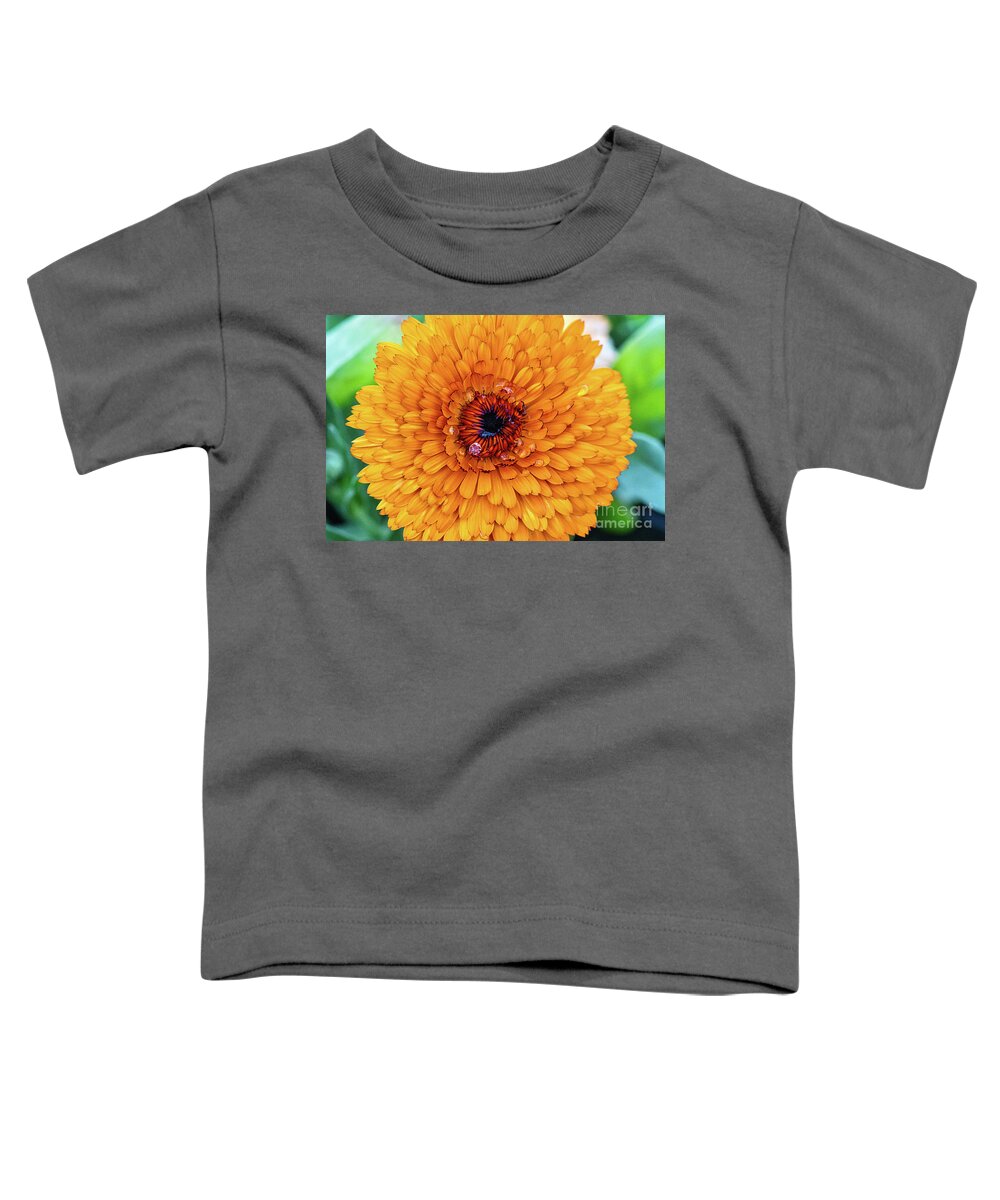 Orange Flower Toddler T-Shirt featuring the photograph Eye of the Flower by Abigail Diane Photography
