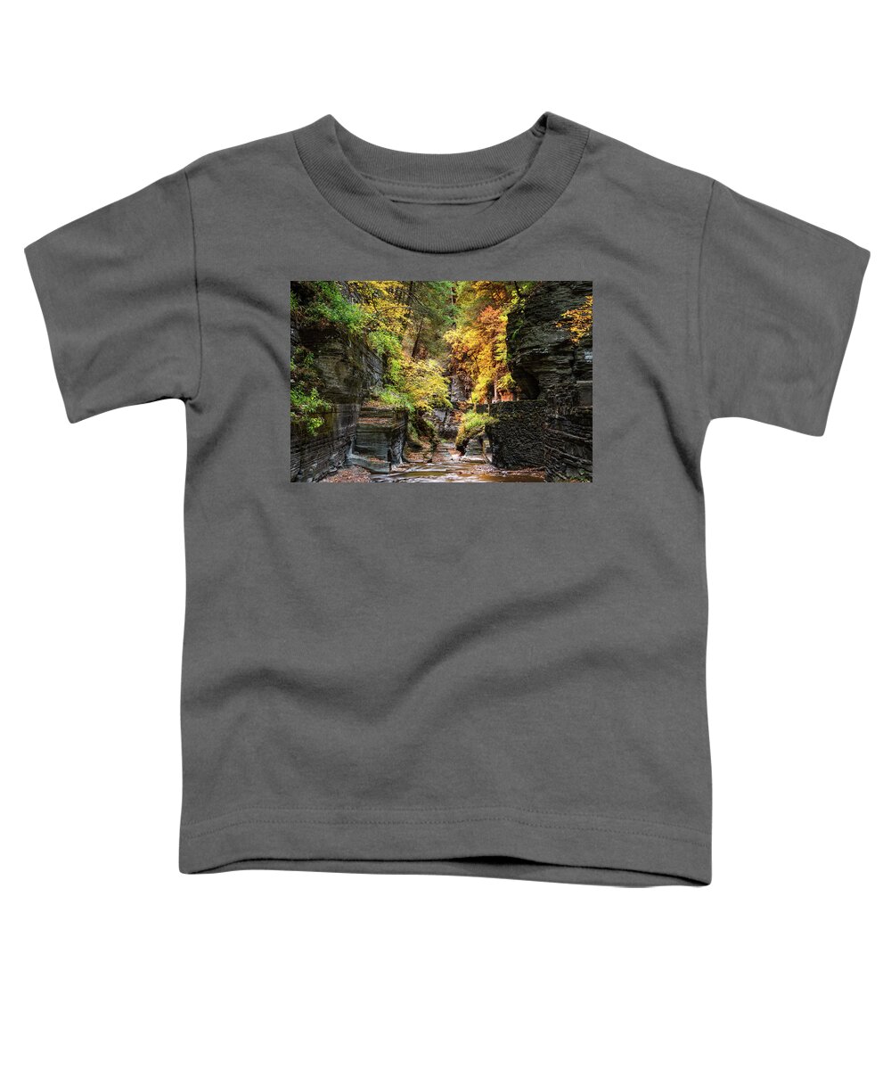 Magic Toddler T-Shirt featuring the photograph Fairy Bridge by C Renee Martin