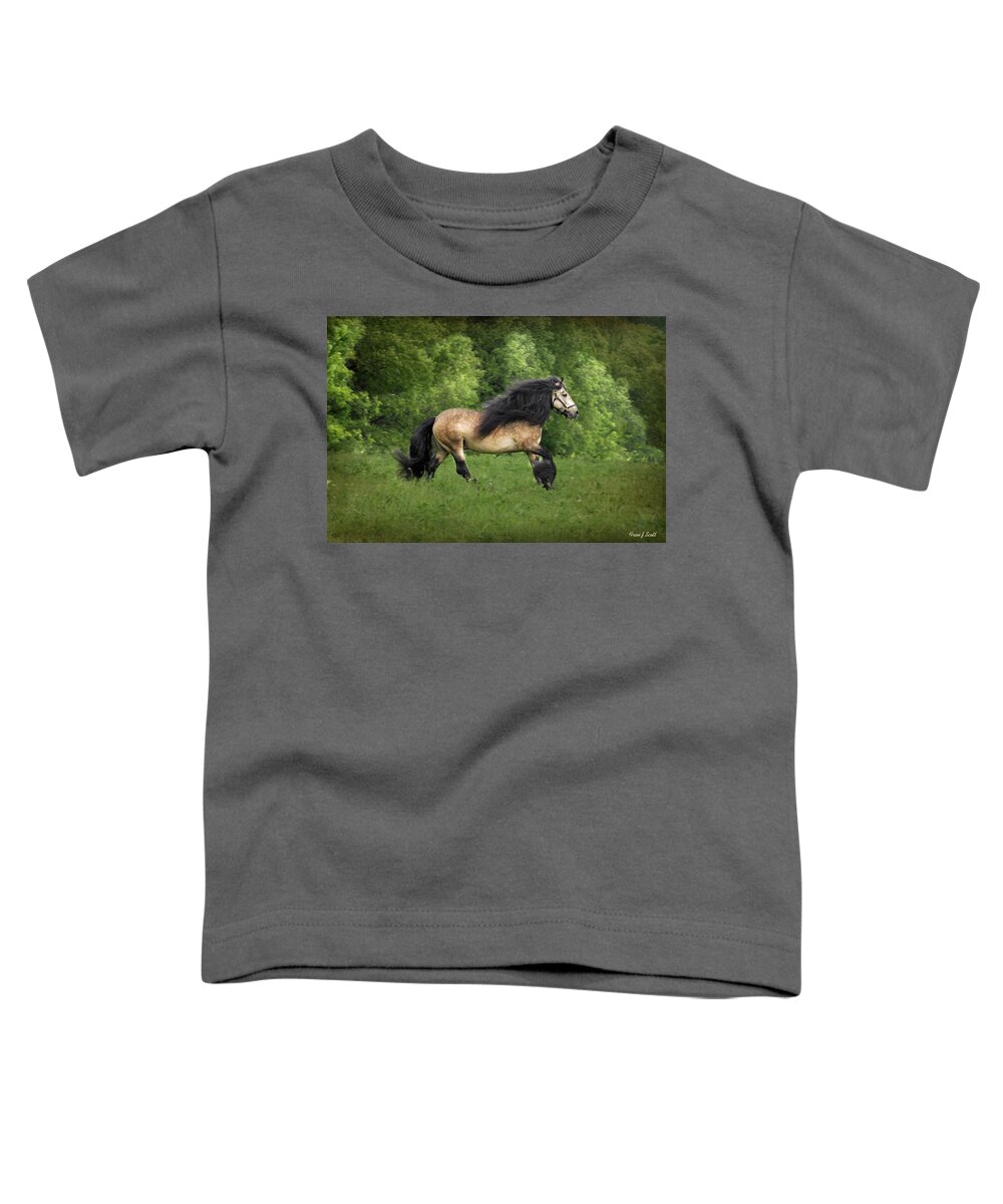 Horses Artwork Toddler T-Shirt featuring the photograph Falcon by Fran J Scott
