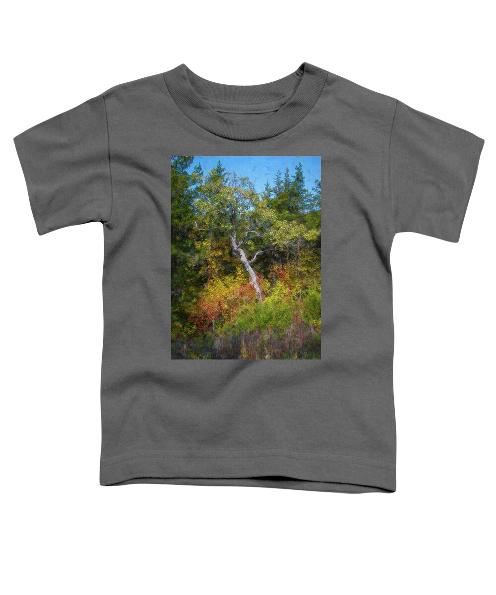 Nature Toddler T-Shirt featuring the photograph Seasons Change #1 by Linda Shannon Morgan