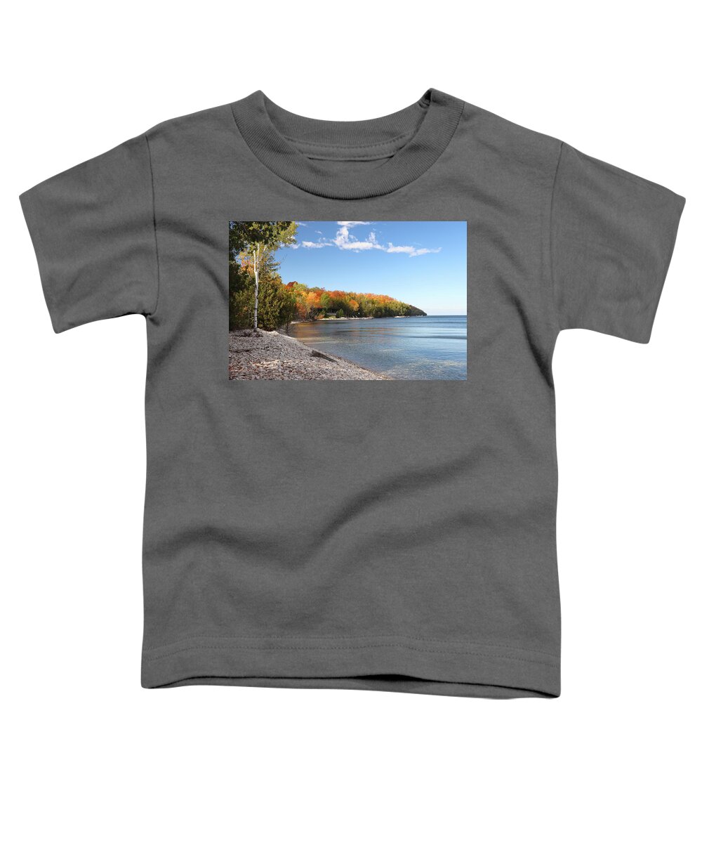 Garrett Bay Toddler T-Shirt featuring the photograph Fall Colors at Garrett Bay by David T Wilkinson