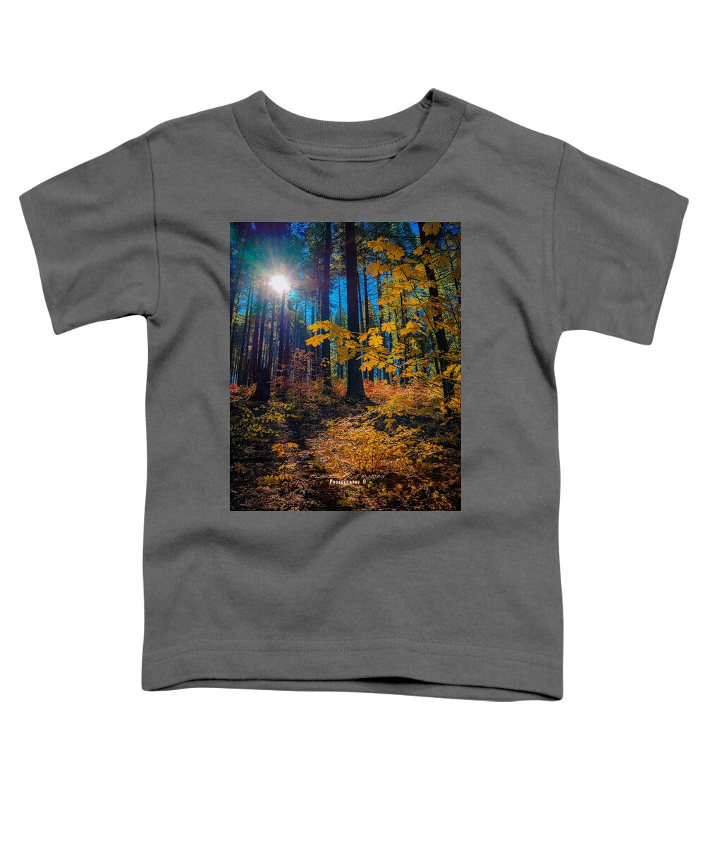 Landscape Toddler T-Shirt featuring the photograph Fall colors in the Sierrras by Devin Wilson