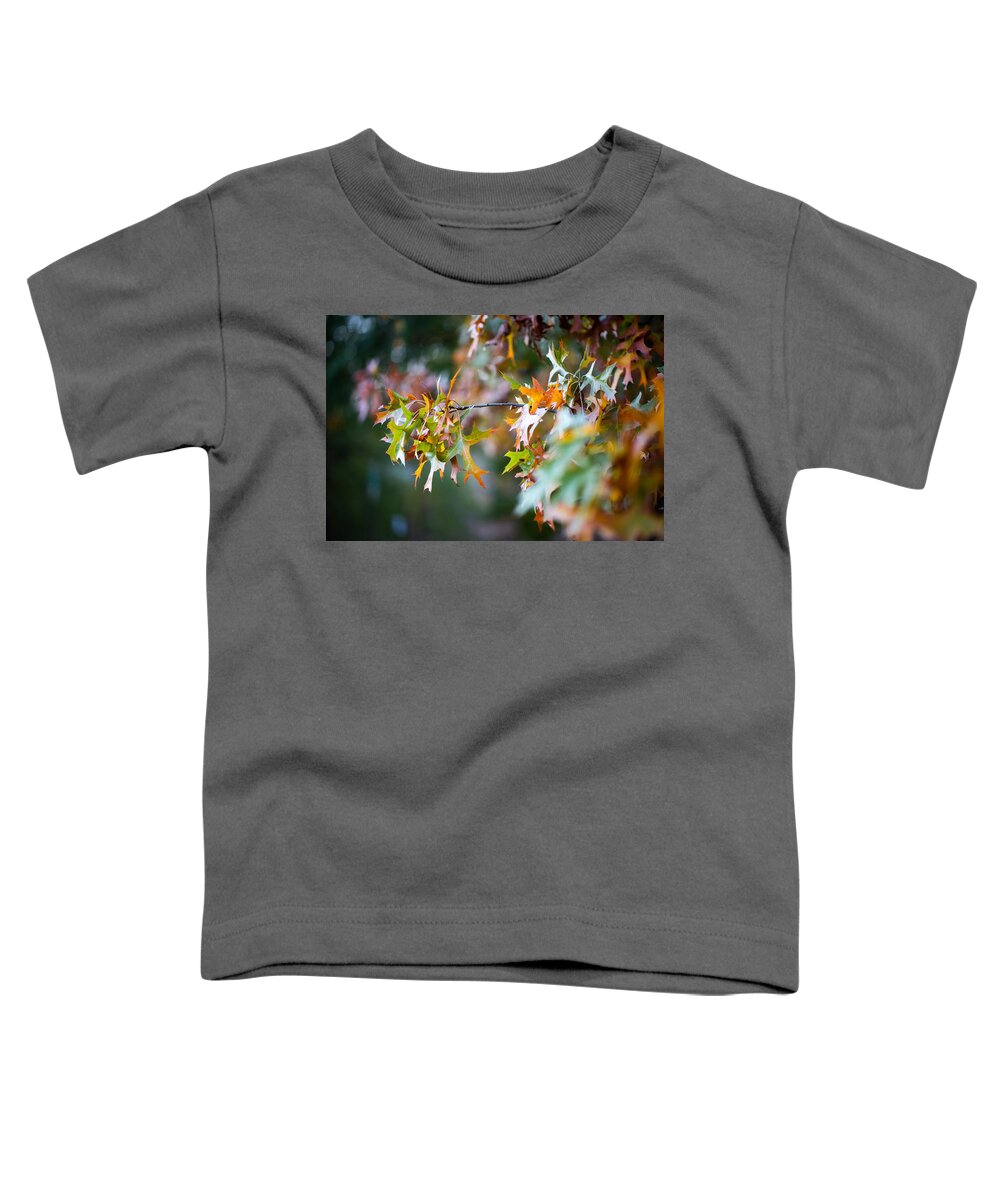Photo Toddler T-Shirt featuring the photograph Fall Foliage 2 by Evan Foster