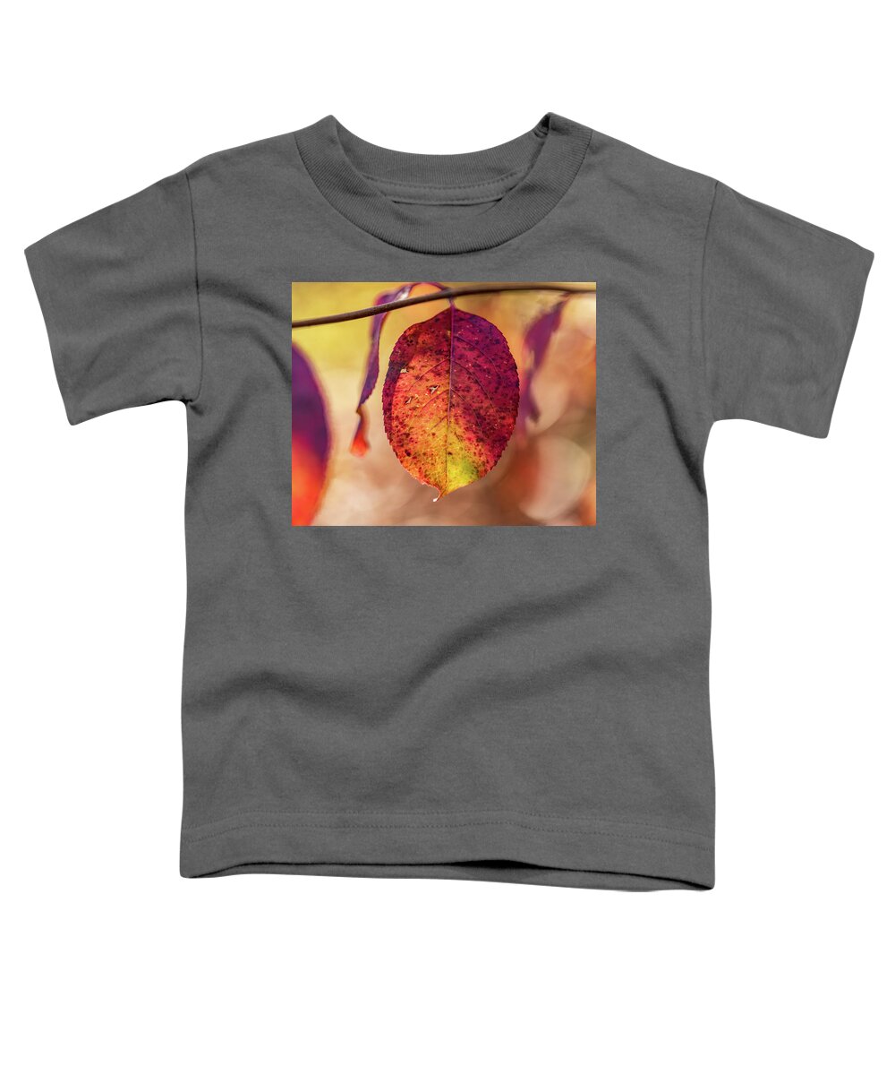 Autumn Toddler T-Shirt featuring the photograph Fall Foliage Close Up by Amelia Pearn
