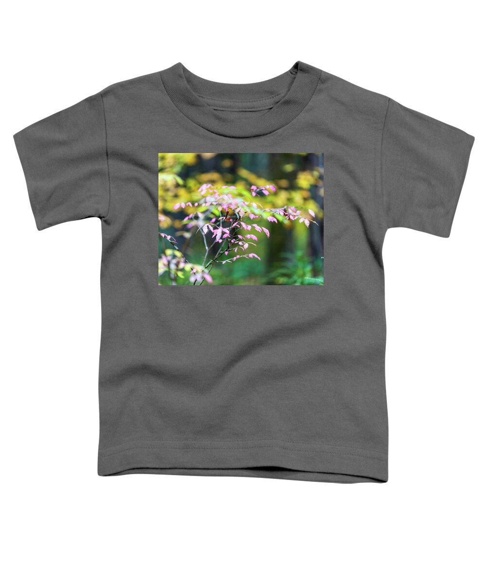 Tree Toddler T-Shirt featuring the photograph Fall Foliage - Pink by Amelia Pearn