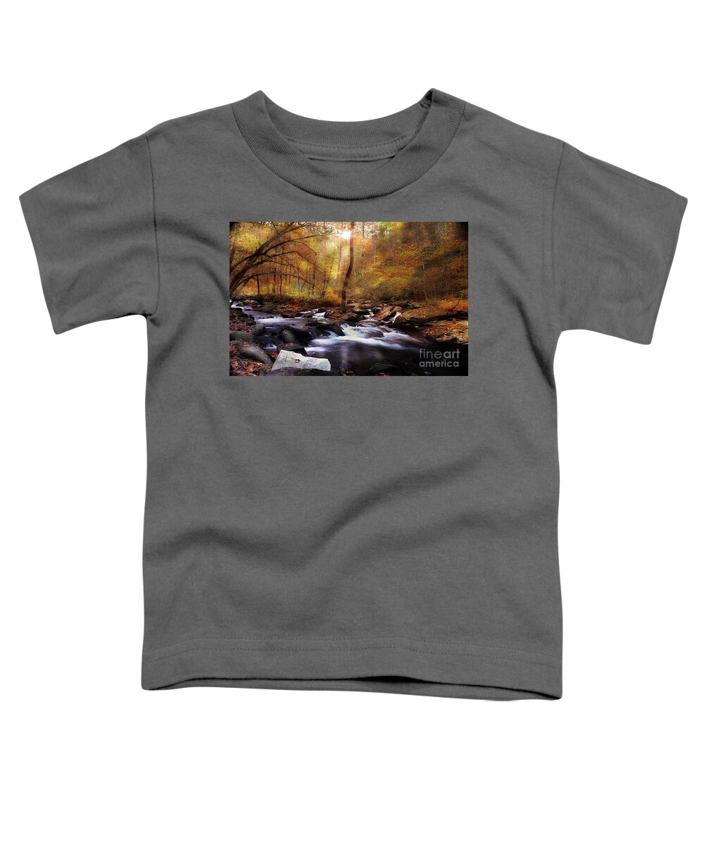 Fall Colors Toddler T-Shirt featuring the photograph Fall Indeed by Rick Lipscomb
