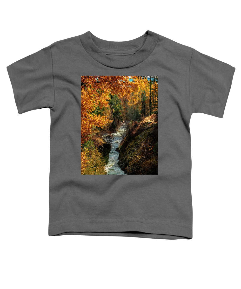 Landscape Toddler T-Shirt featuring the photograph Fall Light by Pamela Dunn-Parrish