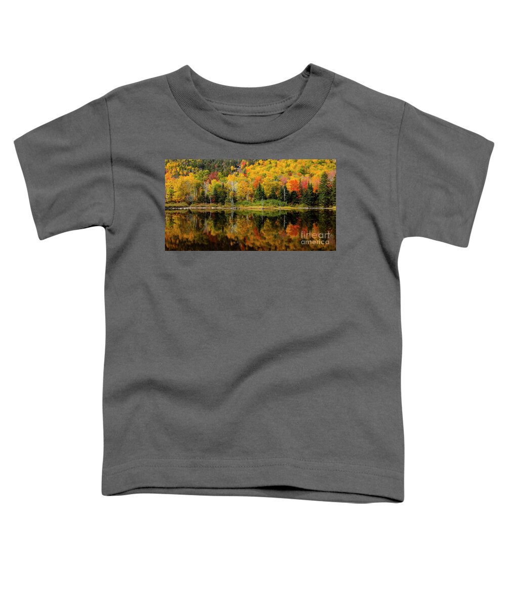 Landscape Toddler T-Shirt featuring the photograph Fall Reflections by Seth Betterly