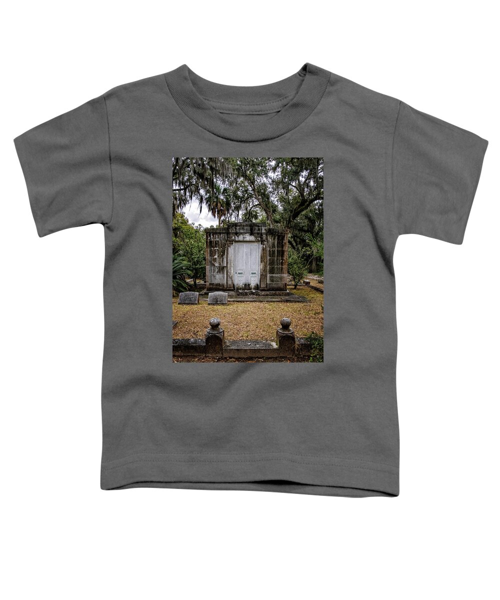 Marietta Georgia Toddler T-Shirt featuring the photograph Family Crypt by Tom Singleton