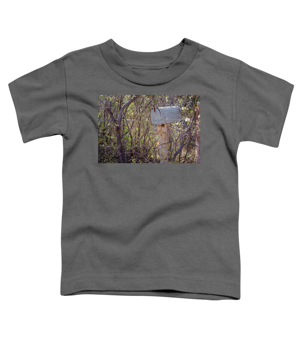 Mail Toddler T-Shirt featuring the photograph Fenced in Mailbox or Why They Never Get Mail by Mary Lee Dereske