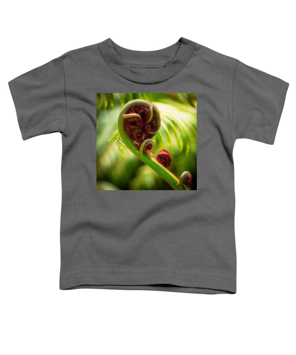 Fern Toddler T-Shirt featuring the photograph Fern Fronds by Mike-Hope by Michael Hope