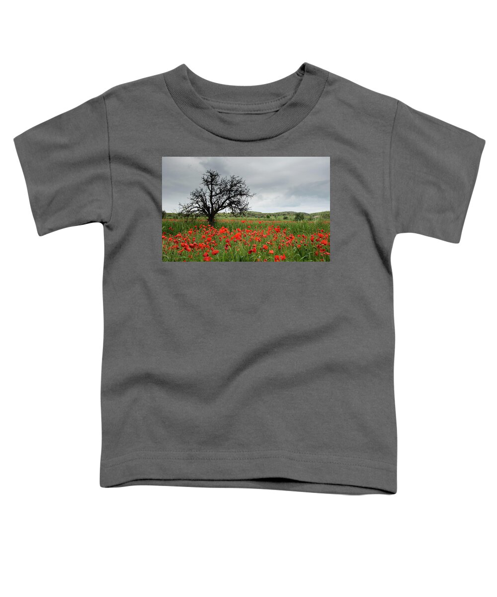 Poppy Anemone Toddler T-Shirt featuring the photograph Field full of red beautiful poppy anemone flowers and a lonely dry tree. Spring time, spring landscape Cyprus. by Michalakis Ppalis