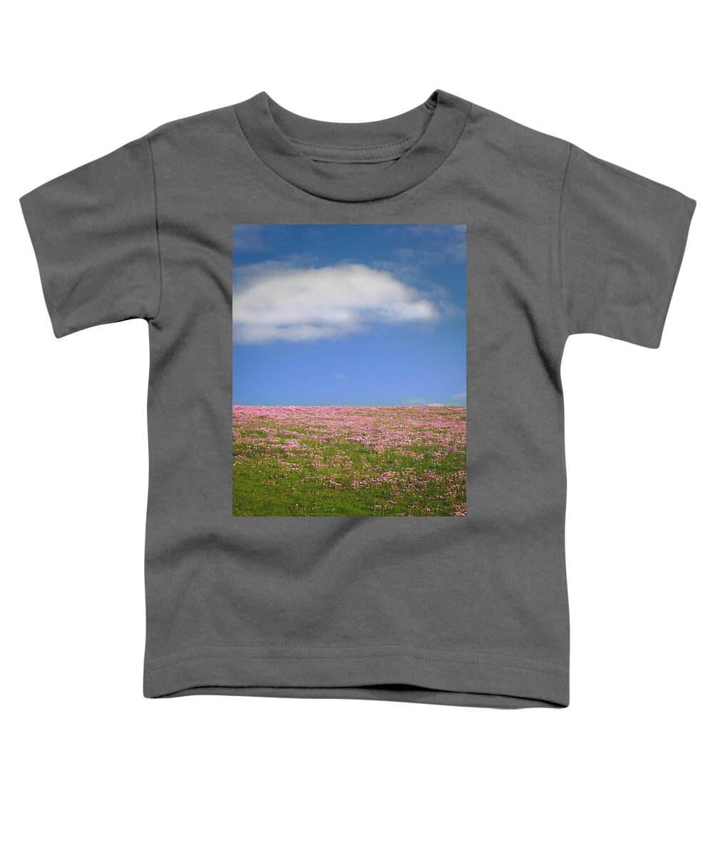 Sea Pink Toddler T-Shirt featuring the photograph Fields of SeaPink by Mark Callanan