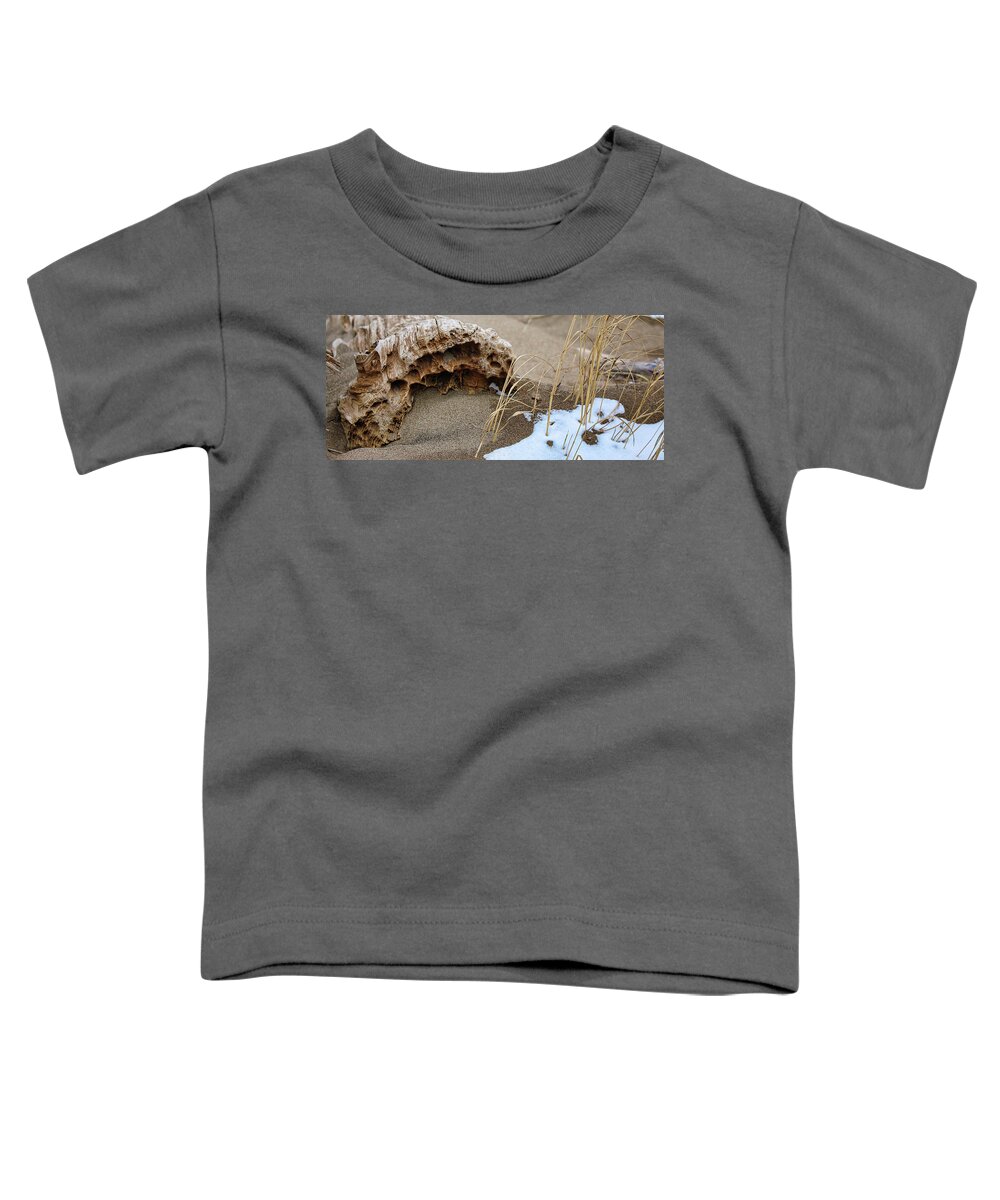 Wood Toddler T-Shirt featuring the photograph Final Resting Place? by Scott Burd