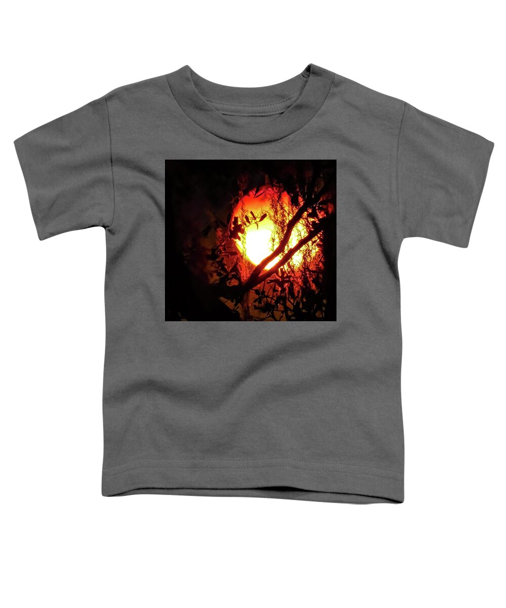 Sun Toddler T-Shirt featuring the photograph Fireball by Gena Herro