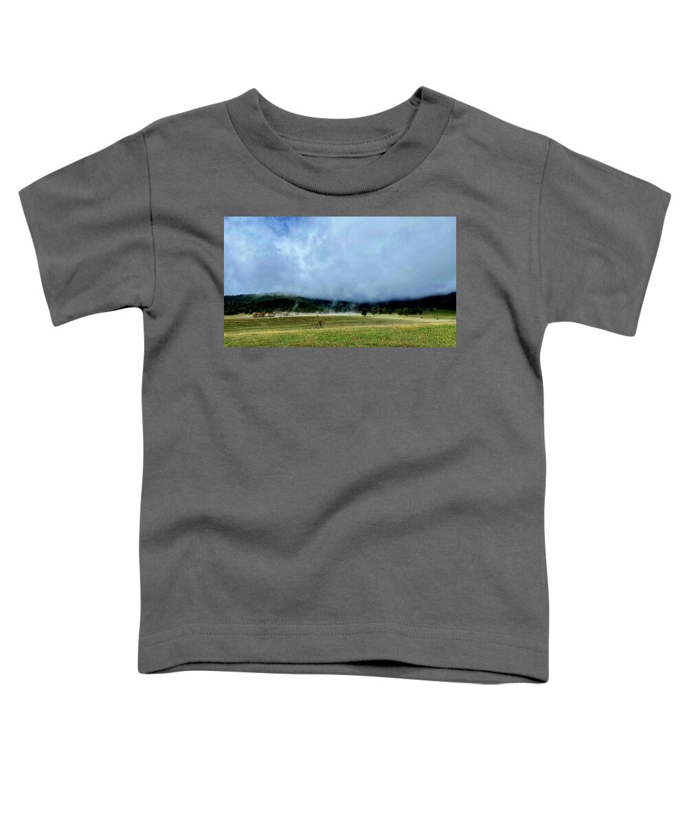 Dan Miller Toddler T-Shirt featuring the photograph Firmament by Dan Miller