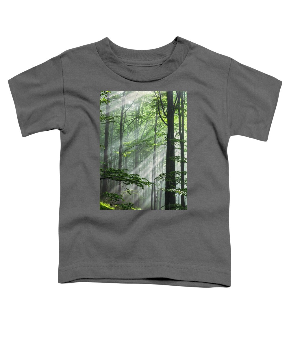 Fog Toddler T-Shirt featuring the photograph Fleeting Beams by Evgeni Dinev