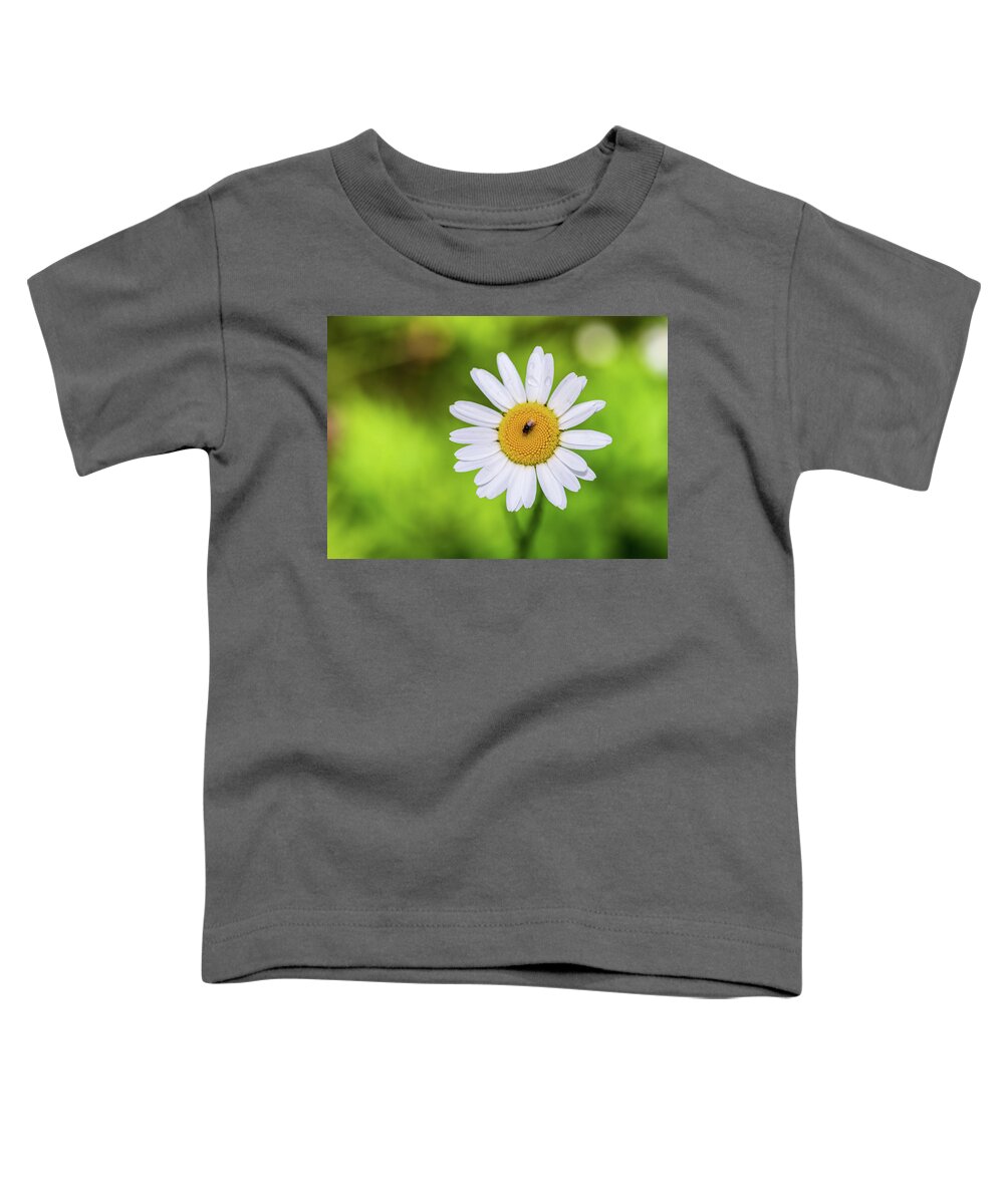 Flowers Toddler T-Shirt featuring the photograph Flowers and Insects - Nature Photography by Amelia Pearn