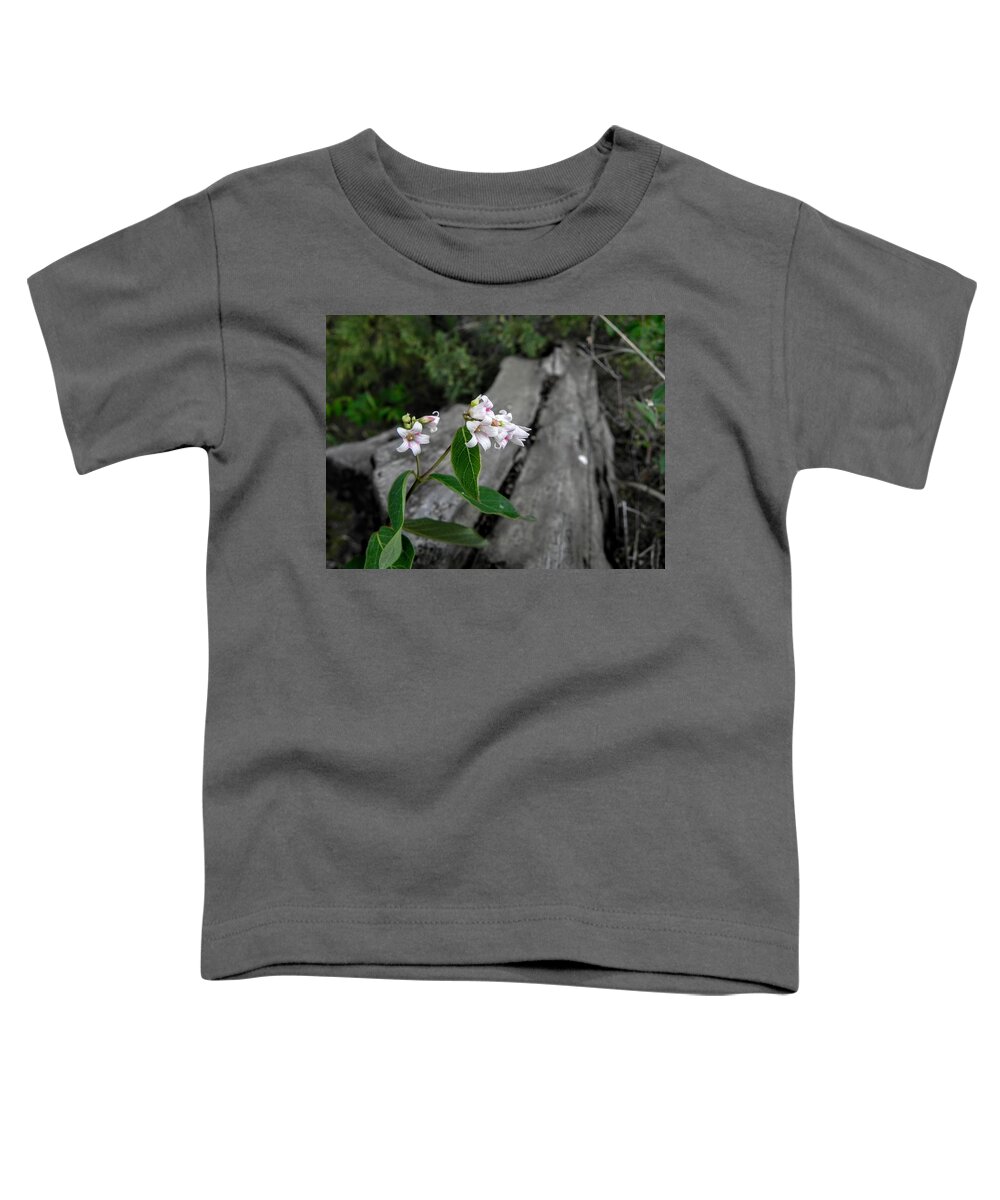 Flower Toddler T-Shirt featuring the photograph Flowers by a Log by Amanda R Wright