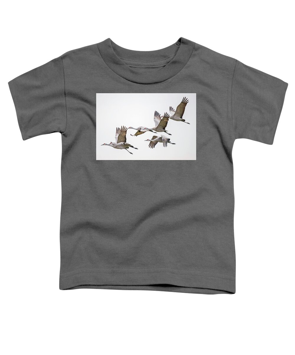  Toddler T-Shirt featuring the photograph Flying Sandhill Cranes #5 by Carla Brennan