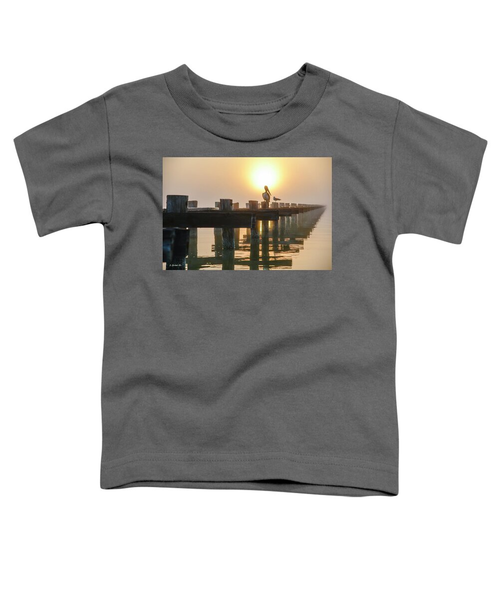 Pelican Toddler T-Shirt featuring the photograph Foggy Coastline by Christopher Rice