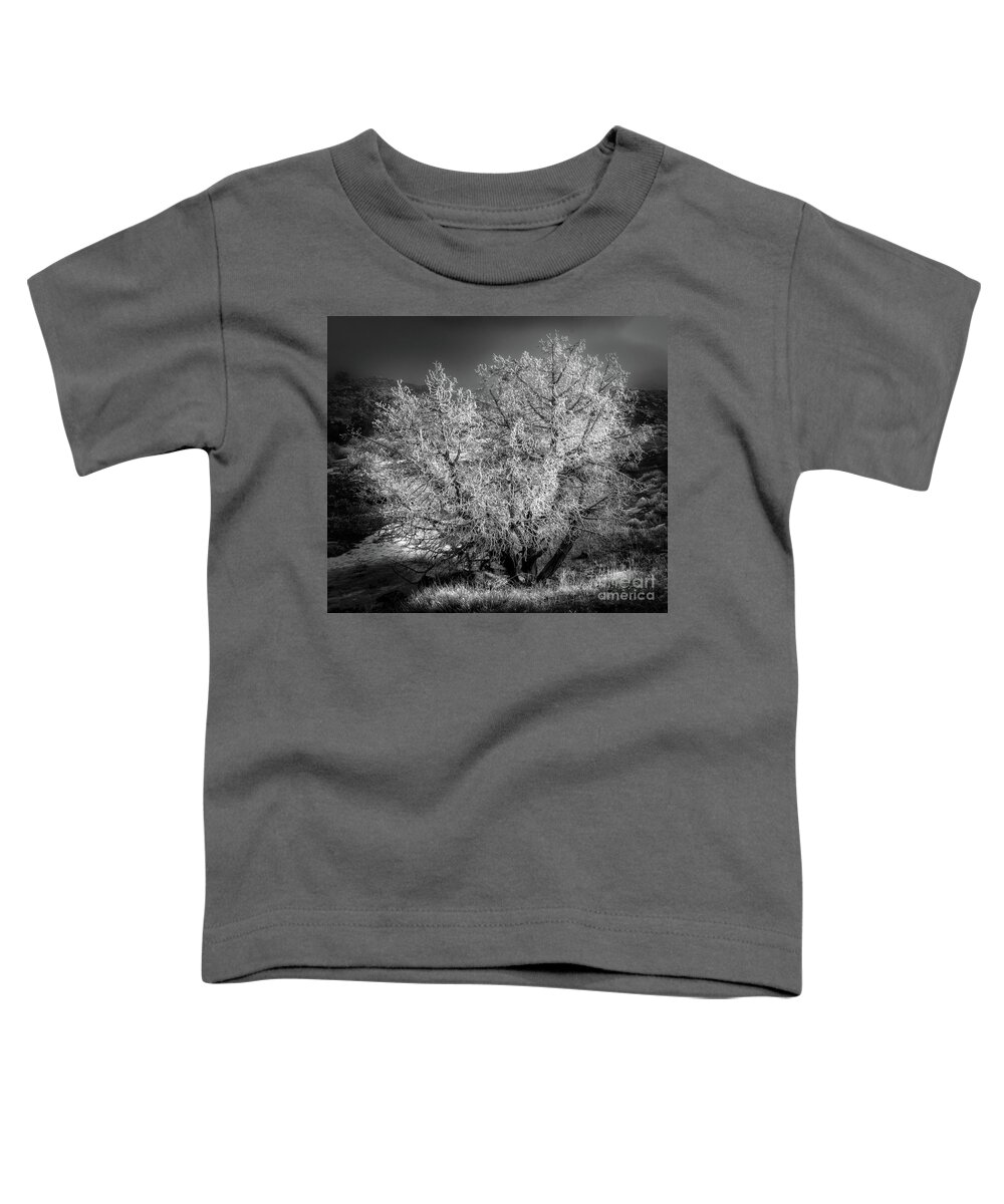 Hoar Frost Toddler T-Shirt featuring the photograph Foggy Frost by Doug Sturgess