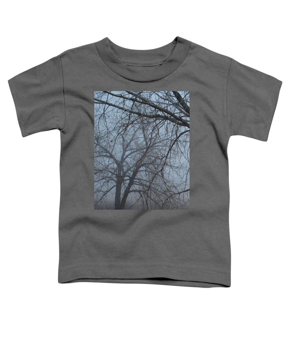 Fog Toddler T-Shirt featuring the photograph Foggy Morning by Vallee Johnson