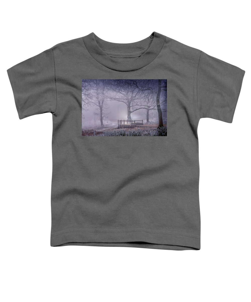 Landscape Toddler T-Shirt featuring the photograph Foggy point of view by Chris Boulton