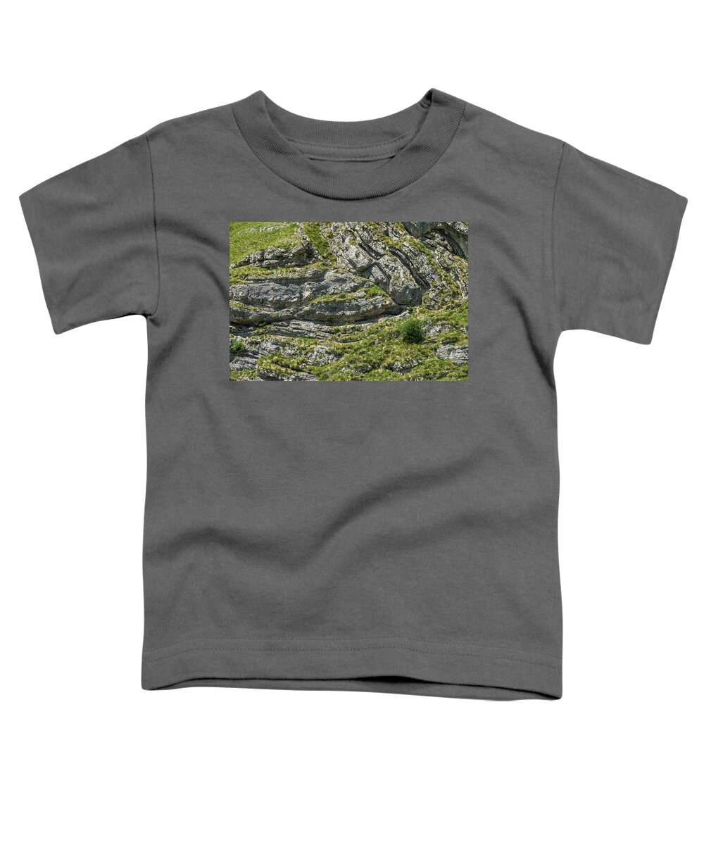 Stone Toddler T-Shirt featuring the photograph Folds Of Rock In Mountains - Background by Mikhail Kokhanchikov