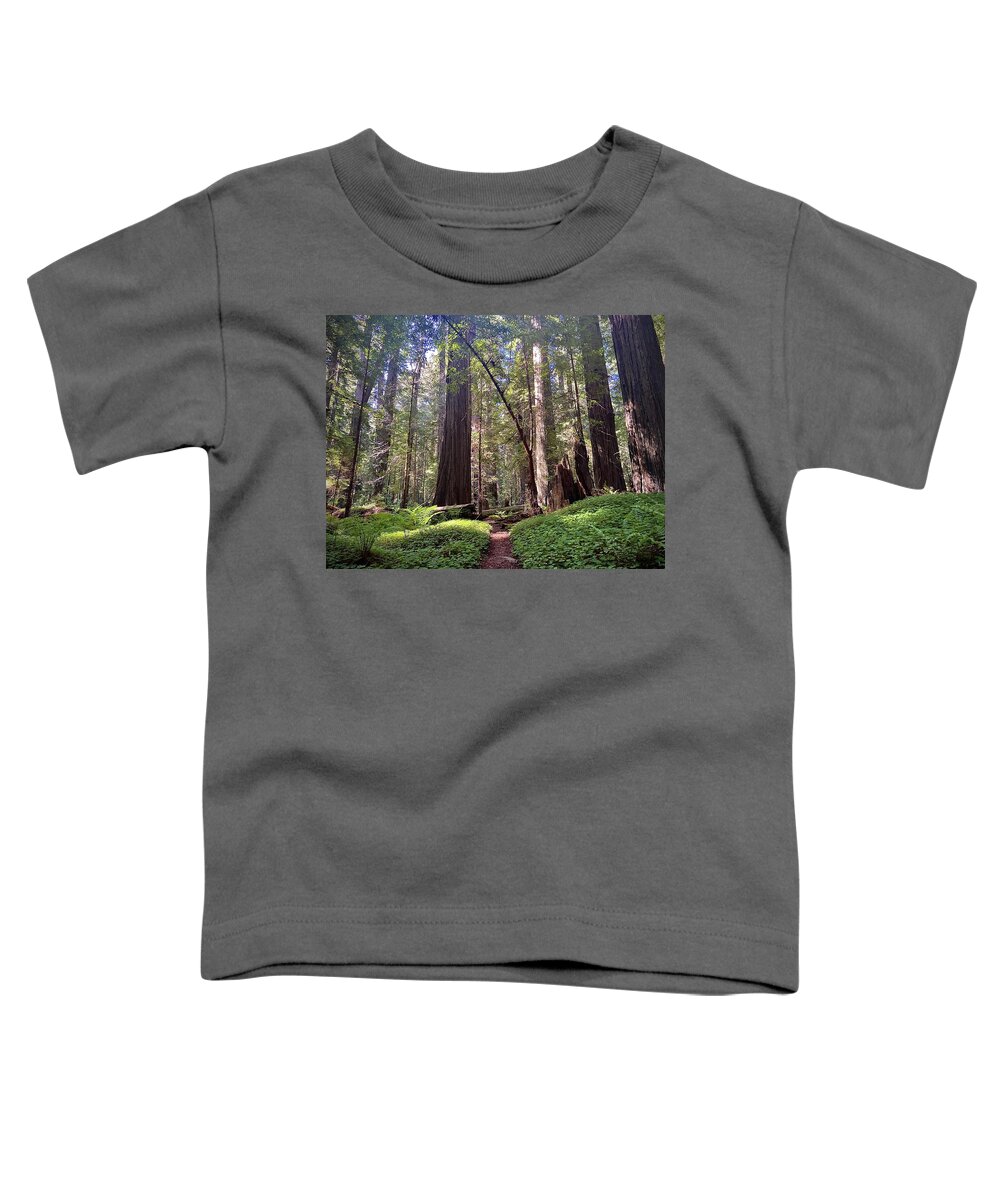 Redwoods. Humboldt County. Trees Toddler T-Shirt featuring the photograph Forest Bathe by Daniele Smith