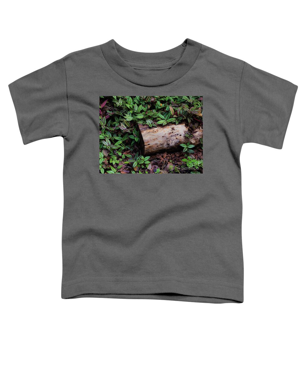 Zebrina Pendula Toddler T-Shirt featuring the photograph Forest Floor by Neala McCarten