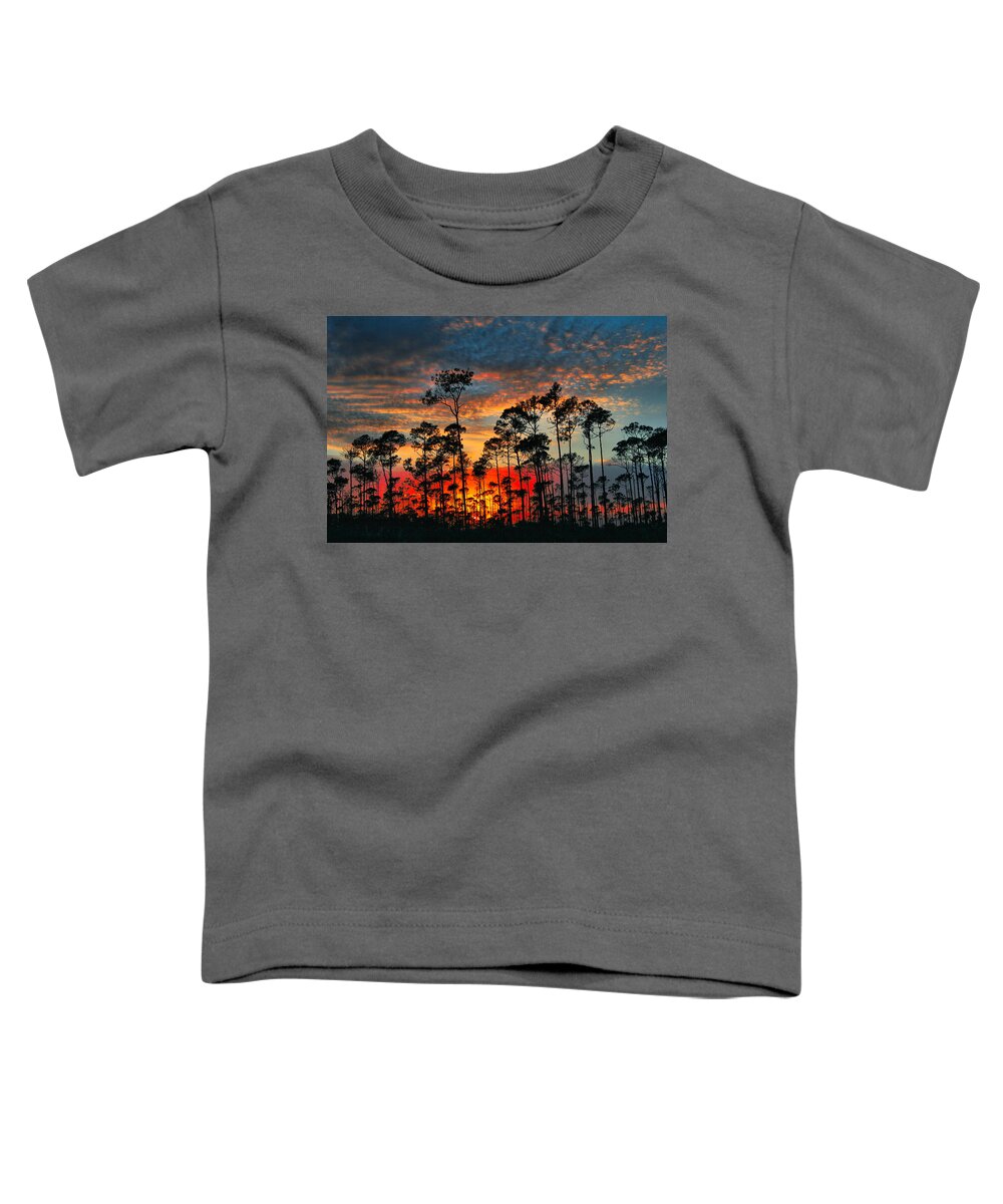 Sunset Toddler T-Shirt featuring the photograph Forrest Sunset by Montez Kerr