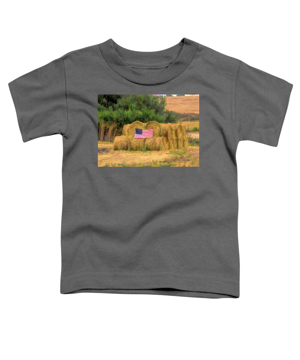 Flag Toddler T-Shirt featuring the photograph Freedom In A Haystack by Barbara Snyder