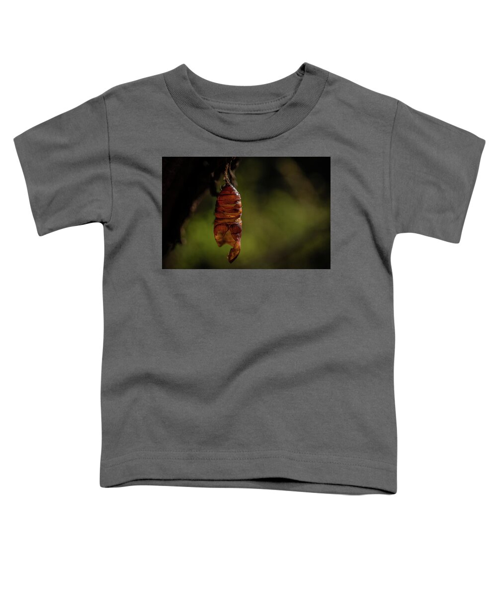 Chrysalis Toddler T-Shirt featuring the photograph Freedom by Linda Howes