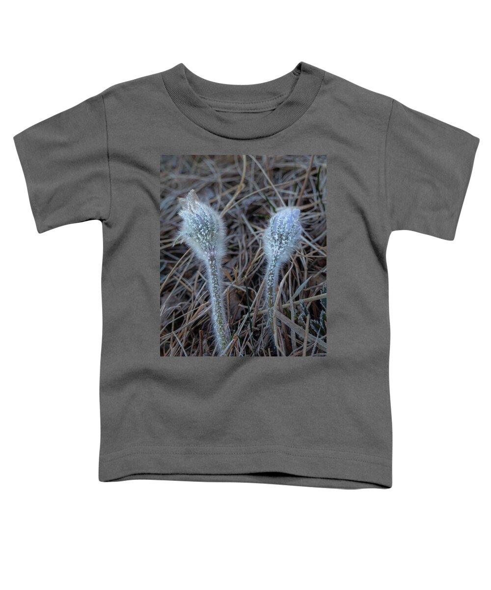 Frost Toddler T-Shirt featuring the photograph Frost on spring pasqueflower by Phil And Karen Rispin