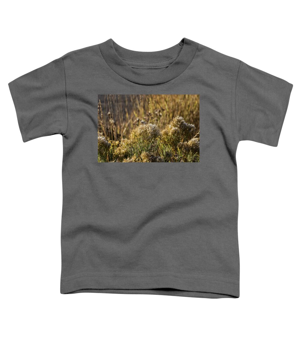 Flora Toddler T-Shirt featuring the photograph Frosted Flora, No. 1 by Belinda Greb