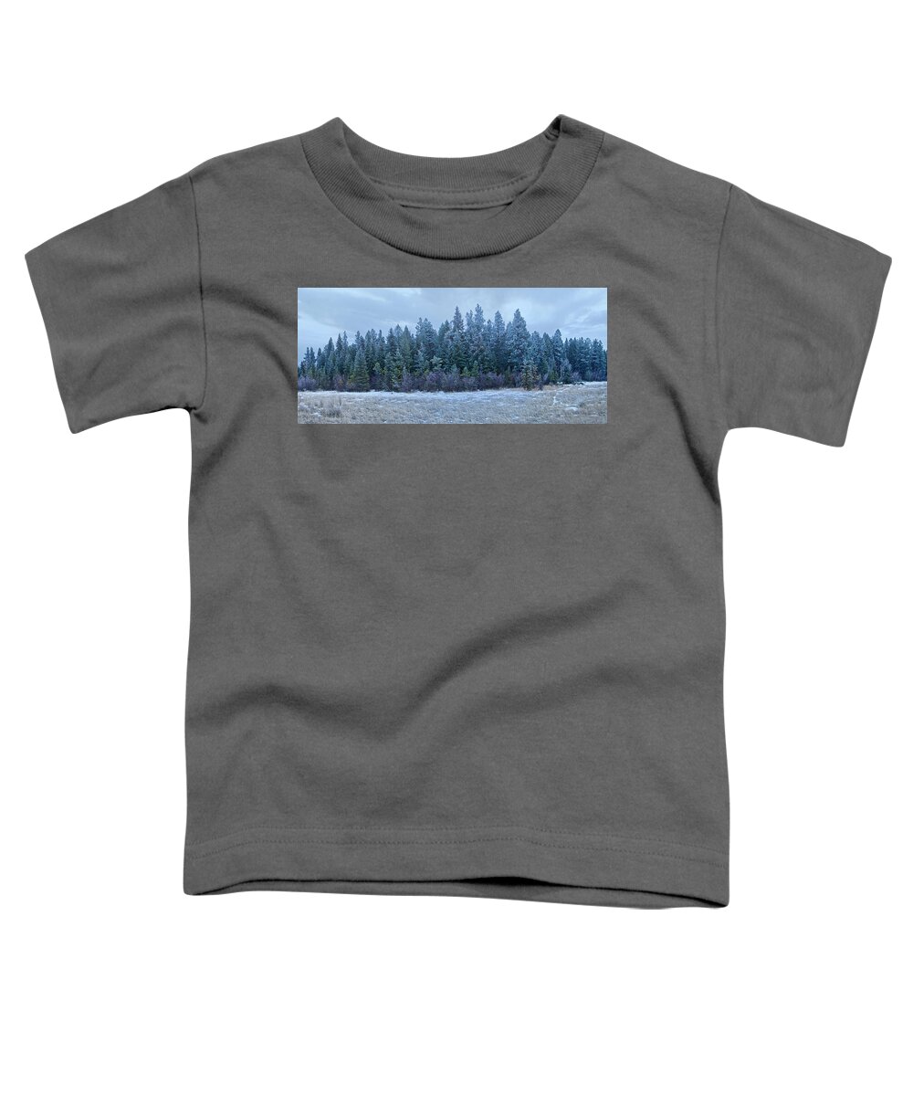 Frosty Trees Plant Tree Beauty In Nature Scenics - Nature Cloud - Sky Sky Nature Land Winter Cold Temperature No People Day Forest Tranquil Scene Non-urban Scene Tranquility Water Snow Growth Outdoors Pine Tree Coniferous Tree Evergreen Tree Pine Woodland Snowing — In Cranbrook Toddler T-Shirt featuring the photograph Frosty Trees by Thomas Nay