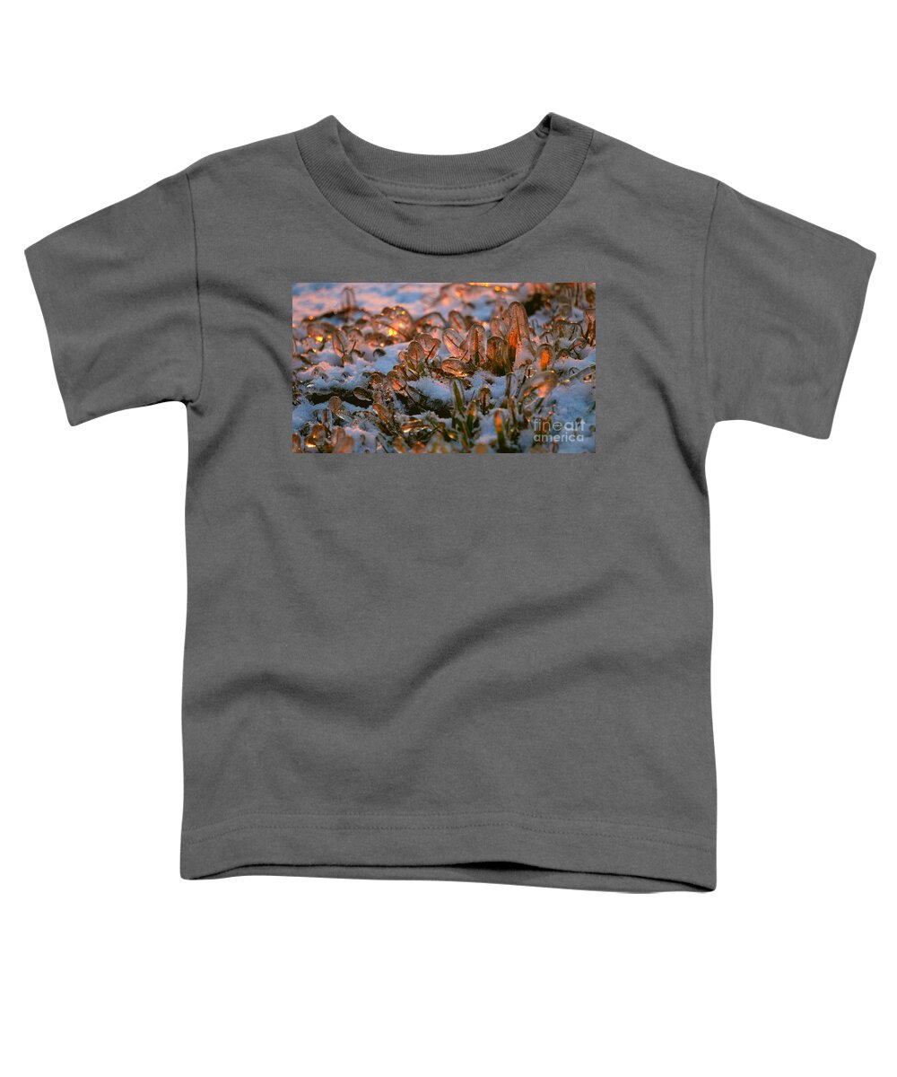 Blades Of Grass Toddler T-Shirt featuring the photograph Frozen BuT Beautifully Alive by fototaker Tony