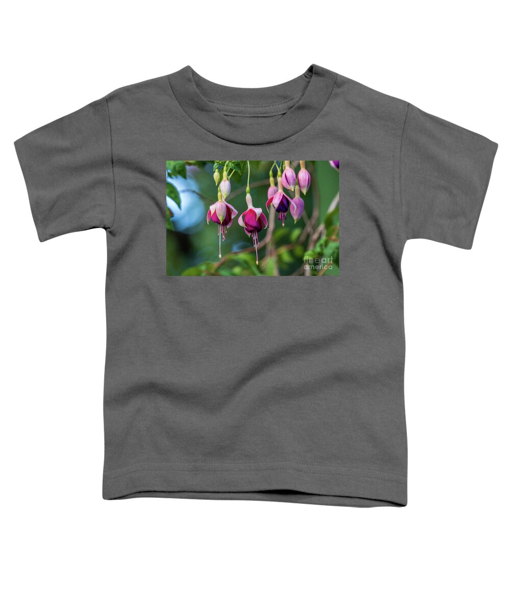 Blooming Toddler T-Shirt featuring the photograph Fuchsia Flower Blurred Background by Pablo Avanzini