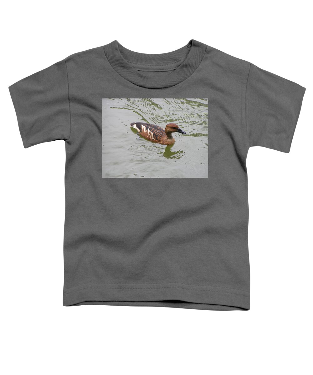 Audubon Zoo Toddler T-Shirt featuring the photograph Fulvous Whistling Duck by Heather E Harman