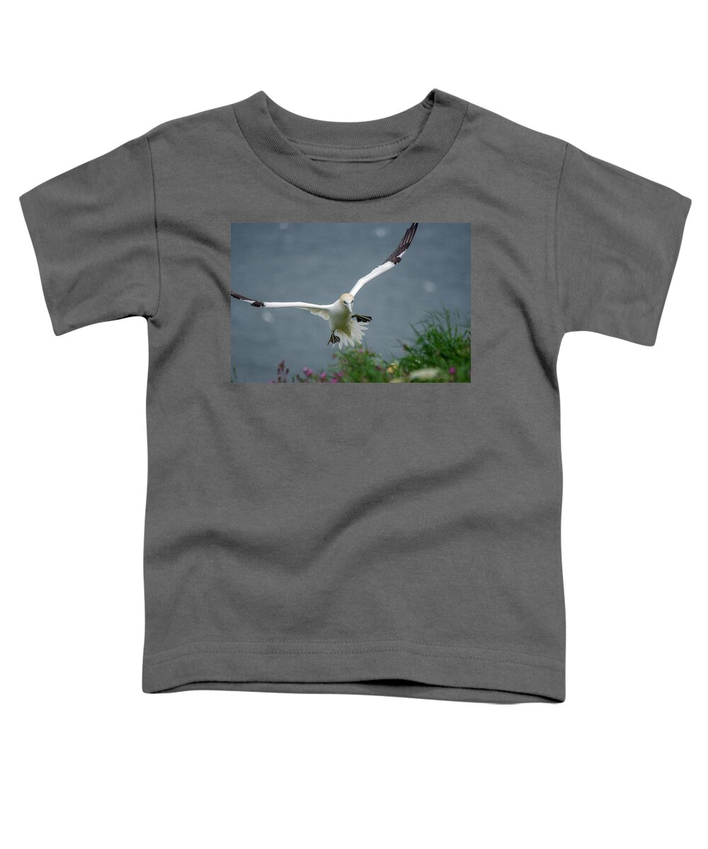 Gannet Toddler T-Shirt featuring the photograph Gannet in flight by Gareth Parkes