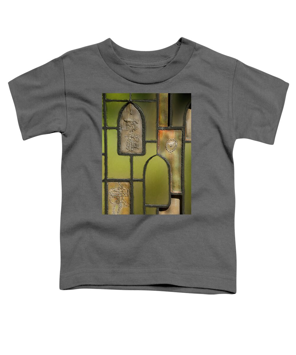 Fine Art Toddler T-Shirt featuring the photograph Gated Inspiration by Melissa Southern