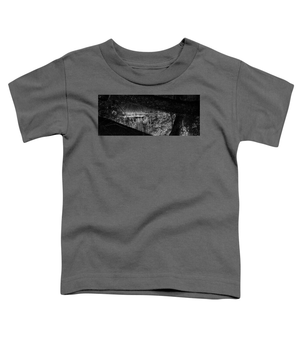 Grass Toddler T-Shirt featuring the photograph Gator Pond, Guana Tolomato Matanzas Reserve, 2006 by John Simmons