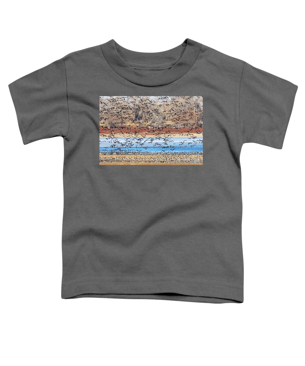Geese Toddler T-Shirt featuring the photograph Geese at Barr Lake by Steven Krull