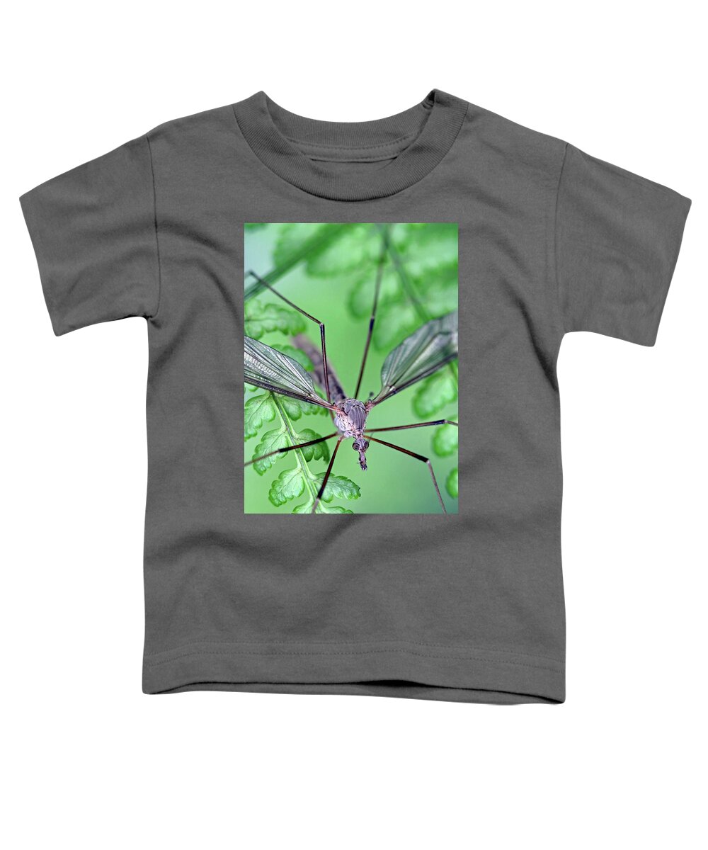 Insects Toddler T-Shirt featuring the photograph Ghost on a fern by Jennifer Robin