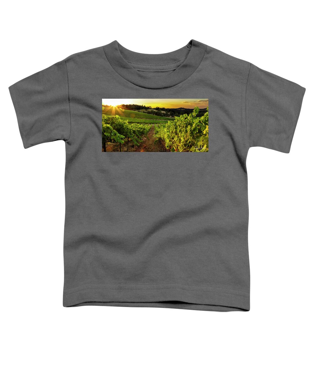 Vineyard Toddler T-Shirt featuring the photograph Gianelli Vineyard 2 by Gary Johnson
