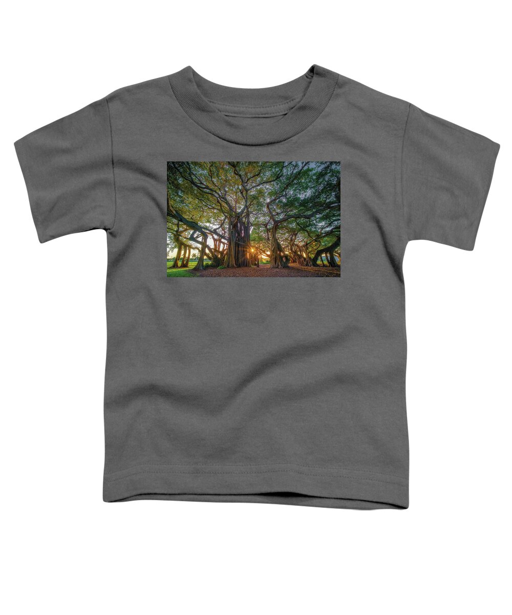 Strangler Ficus Toddler T-Shirt featuring the photograph Giant Banyan Ficus at Phipps Park West Palm Beach by Kim Seng