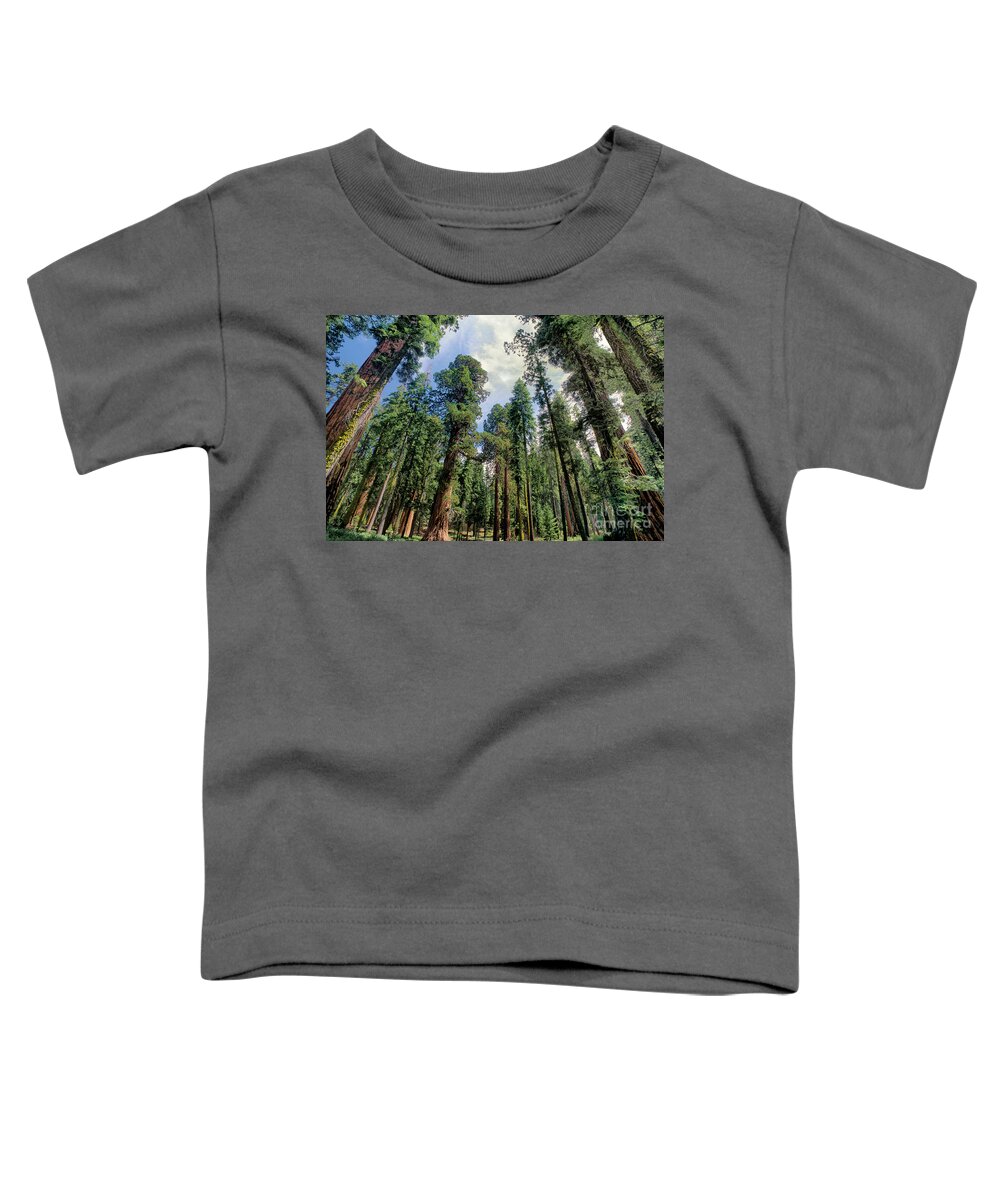 Dave Welling Toddler T-Shirt featuring the photograph Giant Sequoias Sequoiadendron Gigantium Yosemite by Dave Welling