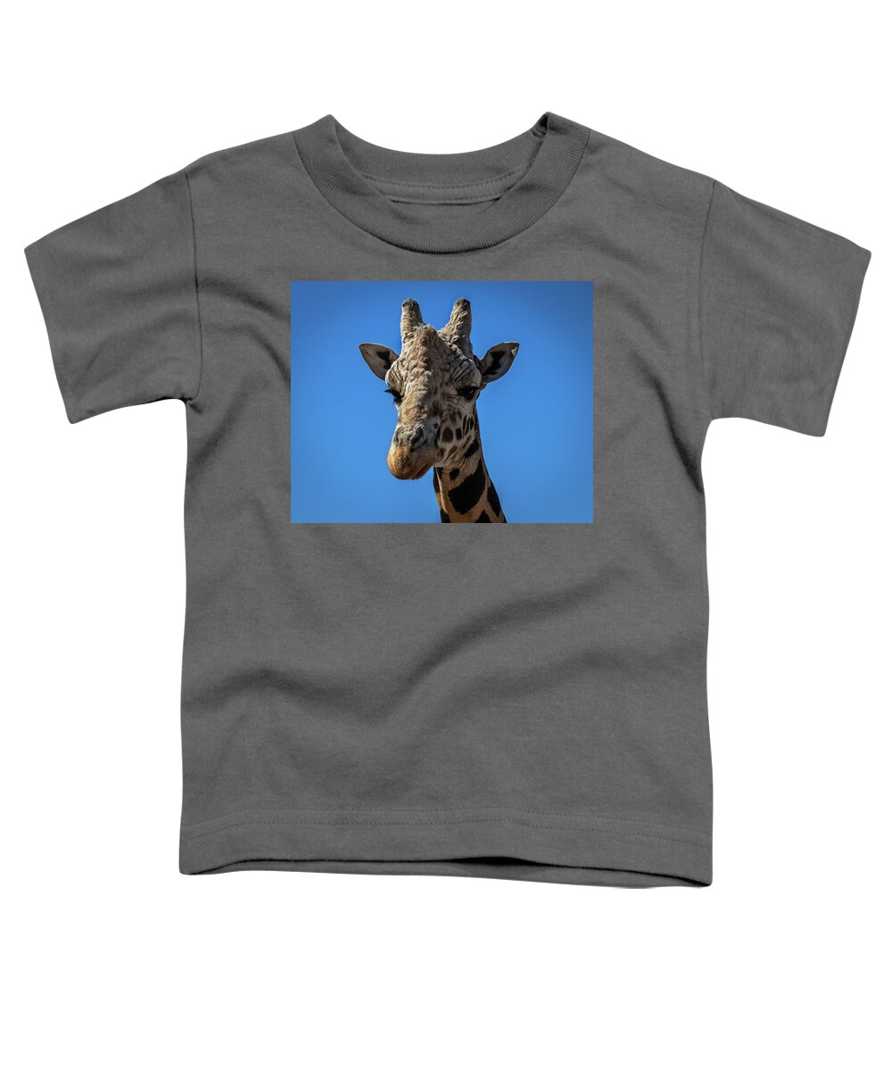 Giraffe Toddler T-Shirt featuring the photograph Giraffe Lover by Laura Putman
