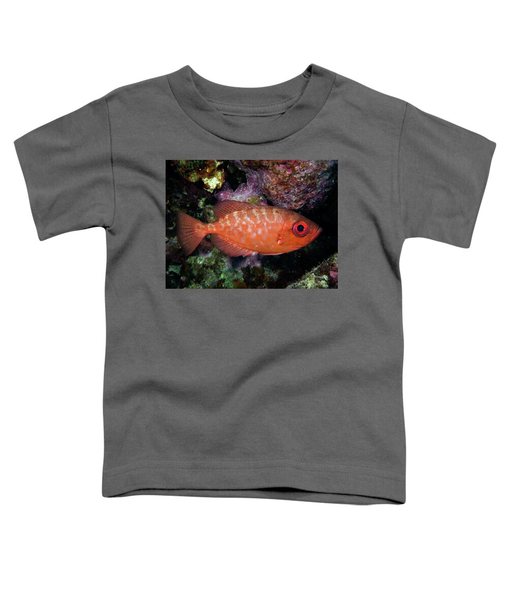 Snapper Toddler T-Shirt featuring the photograph Glasseye Snapper by Brian Weber